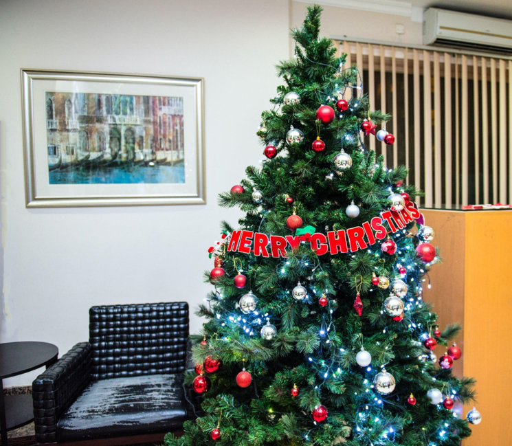 Giving Back: How the King of Christmas Trees is Helping Veterans with PTSD